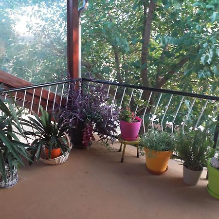 Apartmani Corleone Билице Экстерьер фото